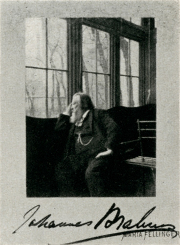 Fotografie von Johannes Brahms, die dieser Reger sandte. – Abgebildet in , Abb. 24.